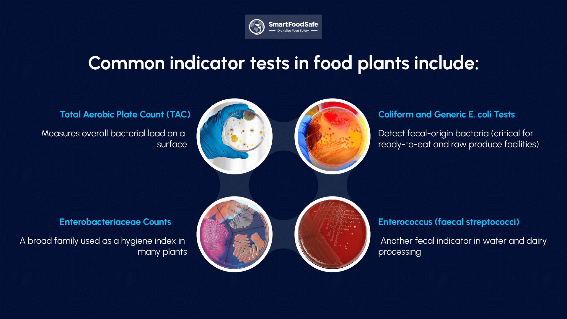 Common indicator tests in food plants