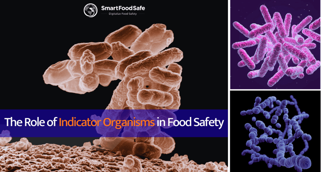 Indicator Organisms The First Line of Defense in Environmental Monitoring